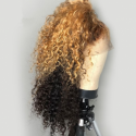 Magic Love Human Virgin Hair Ombre Curly Pre Plucked Lace Front Wig And Full Lace Wig For Black Woman Free Shipping (MAGIC0337)